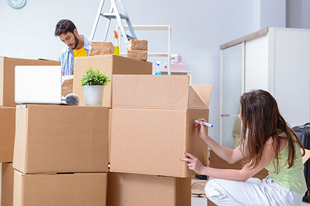 Packers And Movers in Noida Sector 7